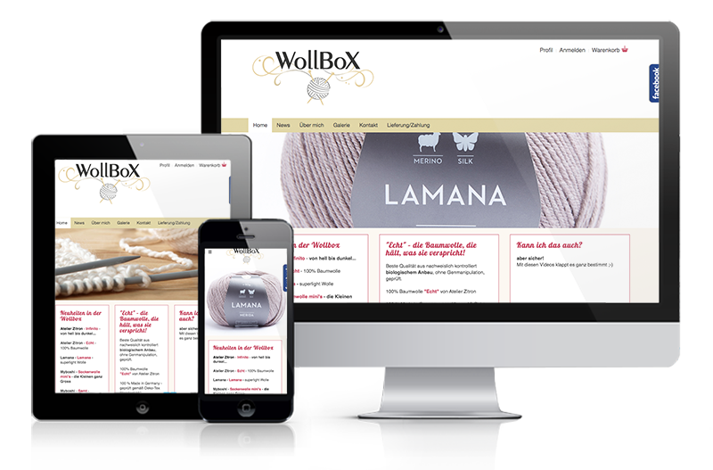 Webdesign Aargau Referenz Wollbox Webshop